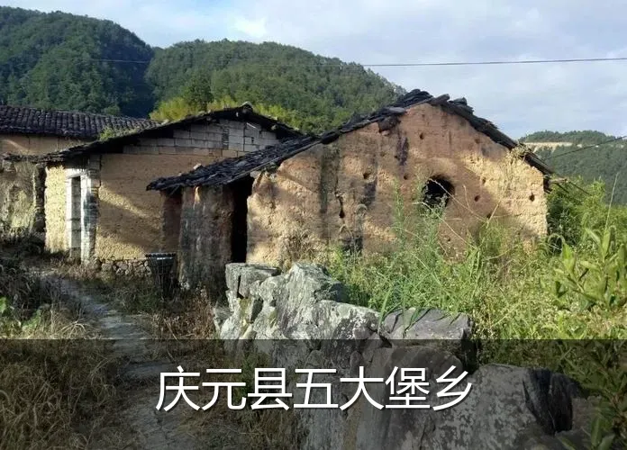 庆元县五大堡乡
