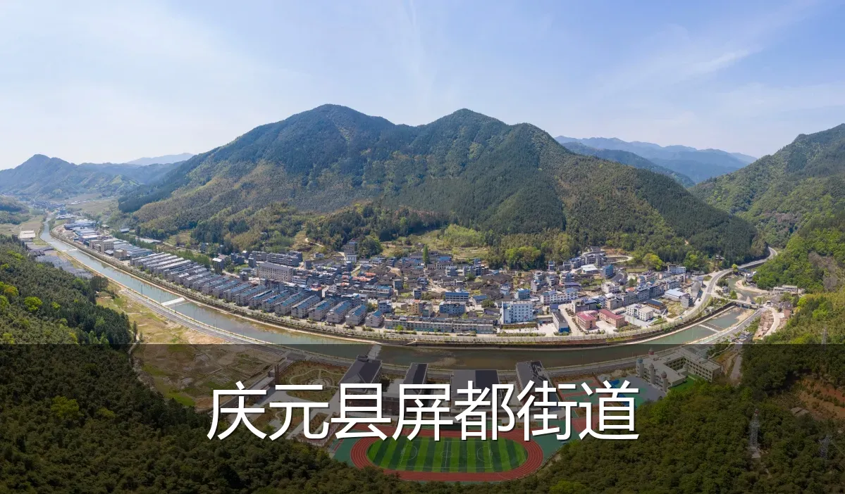 庆元县屏都街道
