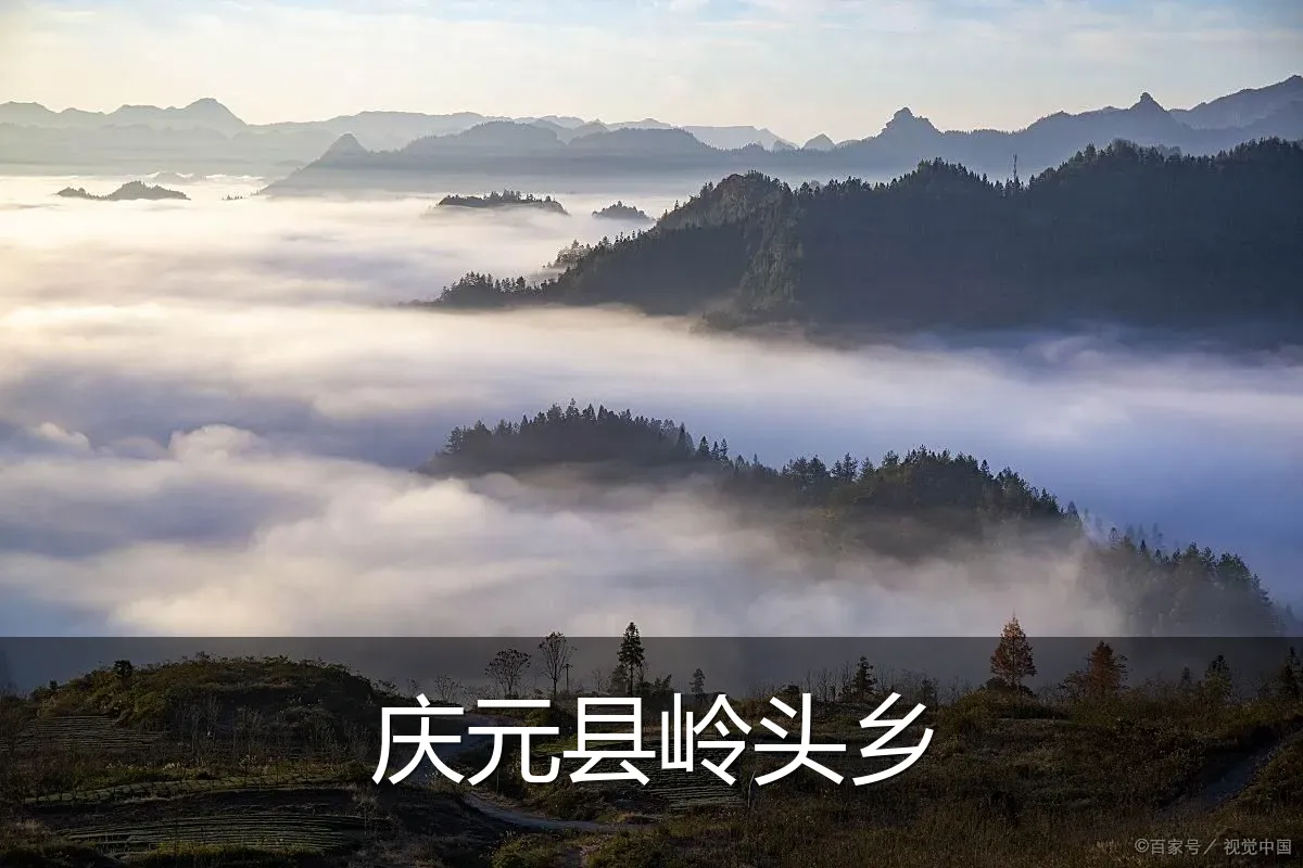 庆元县岭头乡