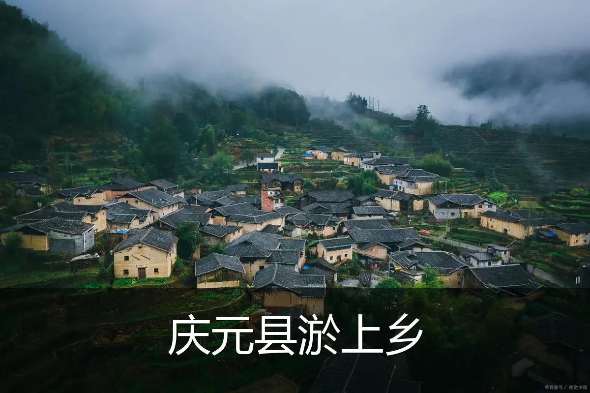庆元县淤上乡