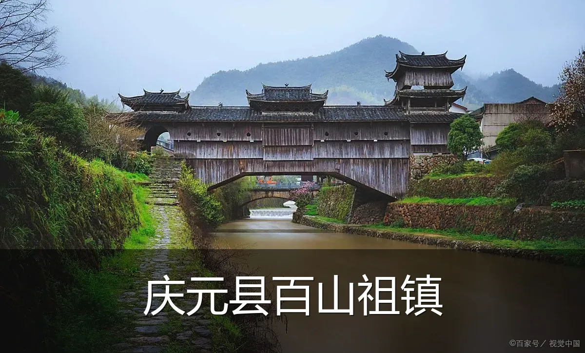 庆元县百山祖镇