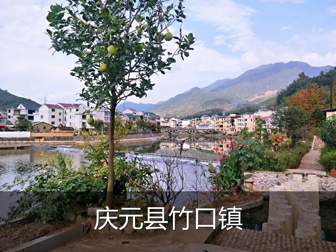 庆元县竹口镇
