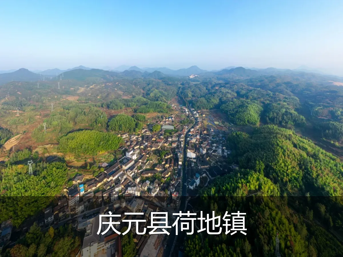 庆元县荷地镇