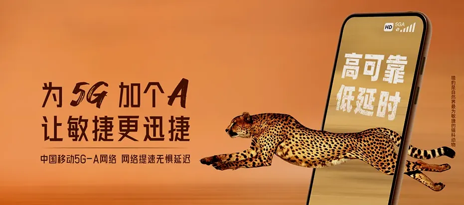 庆元县庆元县五大堡乡 移动宽带